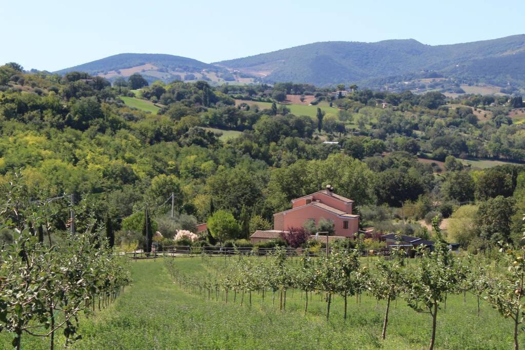 Casa Kikenda, Viaggio Nella Natura Treia Buitenkant foto