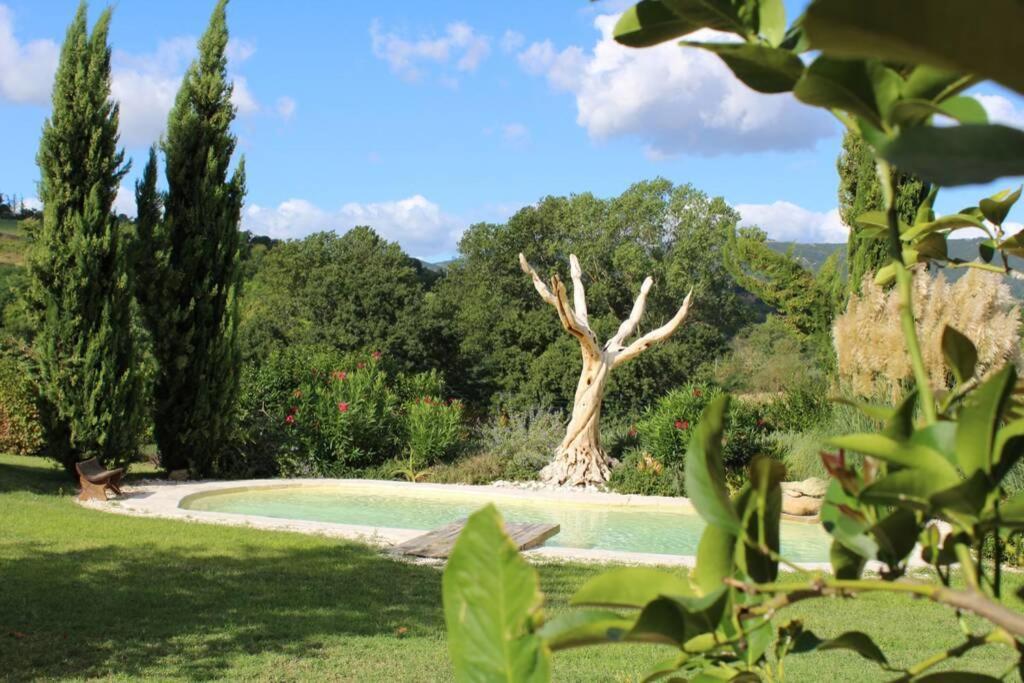 Casa Kikenda, Viaggio Nella Natura Treia Buitenkant foto
