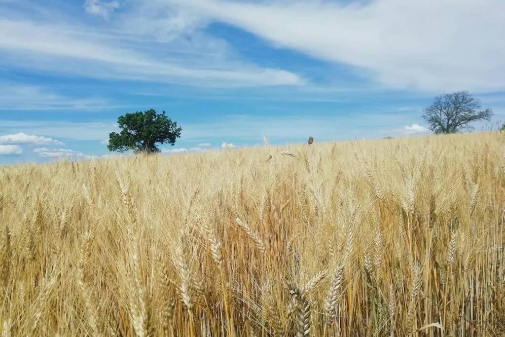 Casa Kikenda, Viaggio Nella Natura Treia Buitenkant foto