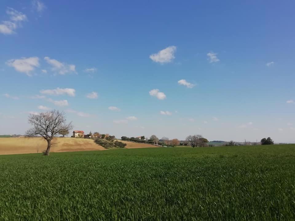 Casa Kikenda, Viaggio Nella Natura Treia Buitenkant foto