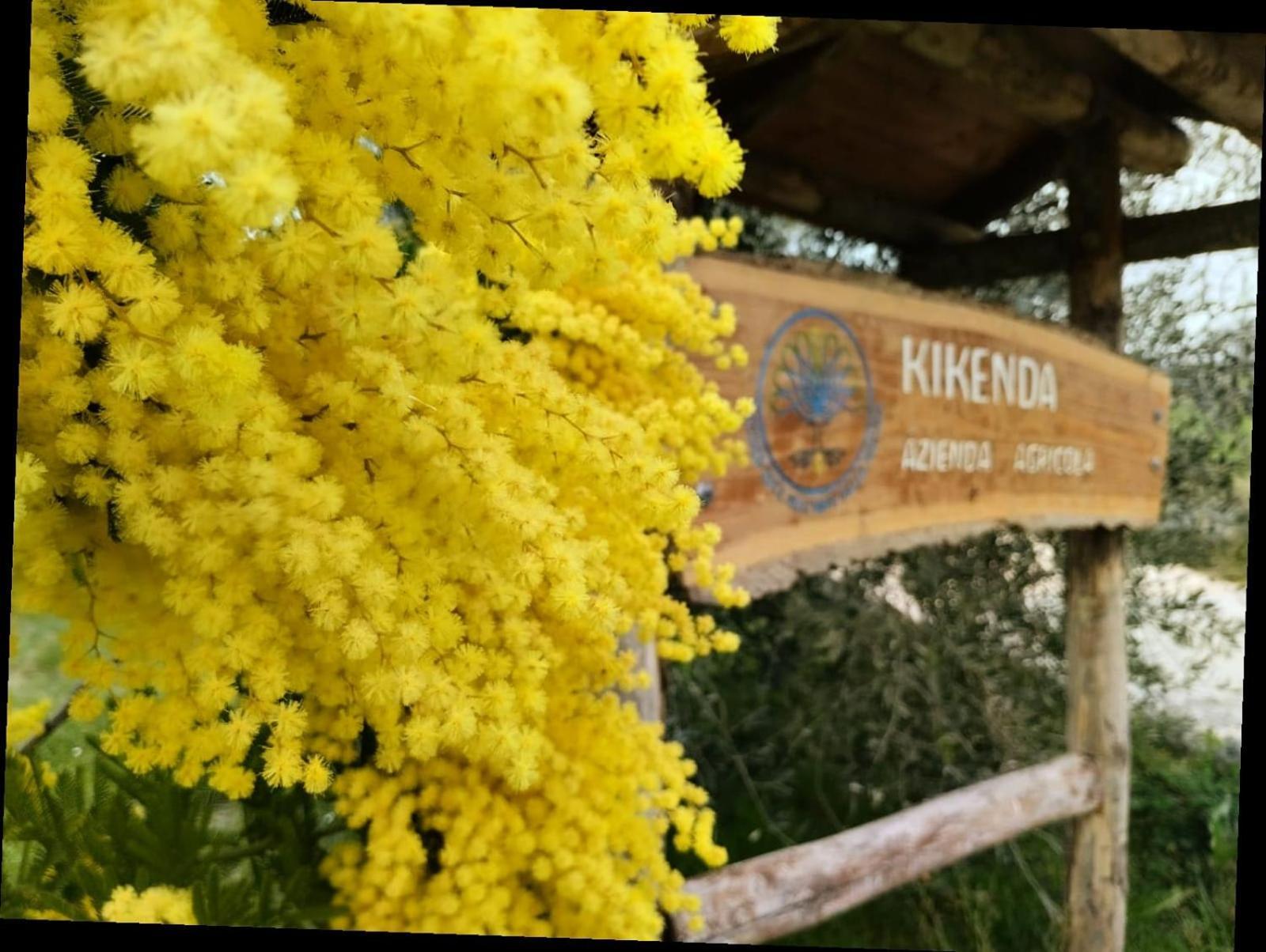 Casa Kikenda, Viaggio Nella Natura Treia Buitenkant foto