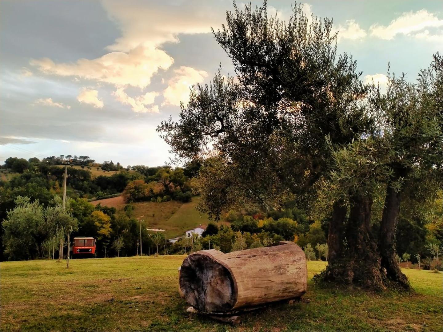 Casa Kikenda, Viaggio Nella Natura Treia Buitenkant foto